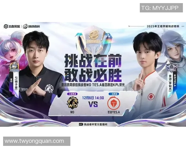 王者荣耀专题深度解析TES战队的快速崛起与战术创新